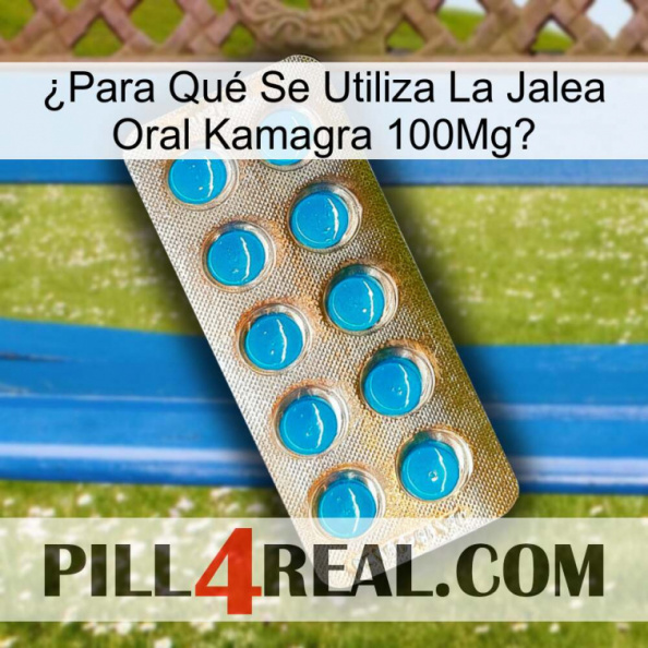 ¿Para Qué Se Utiliza La Jalea Oral Kamagra 100Mg new09